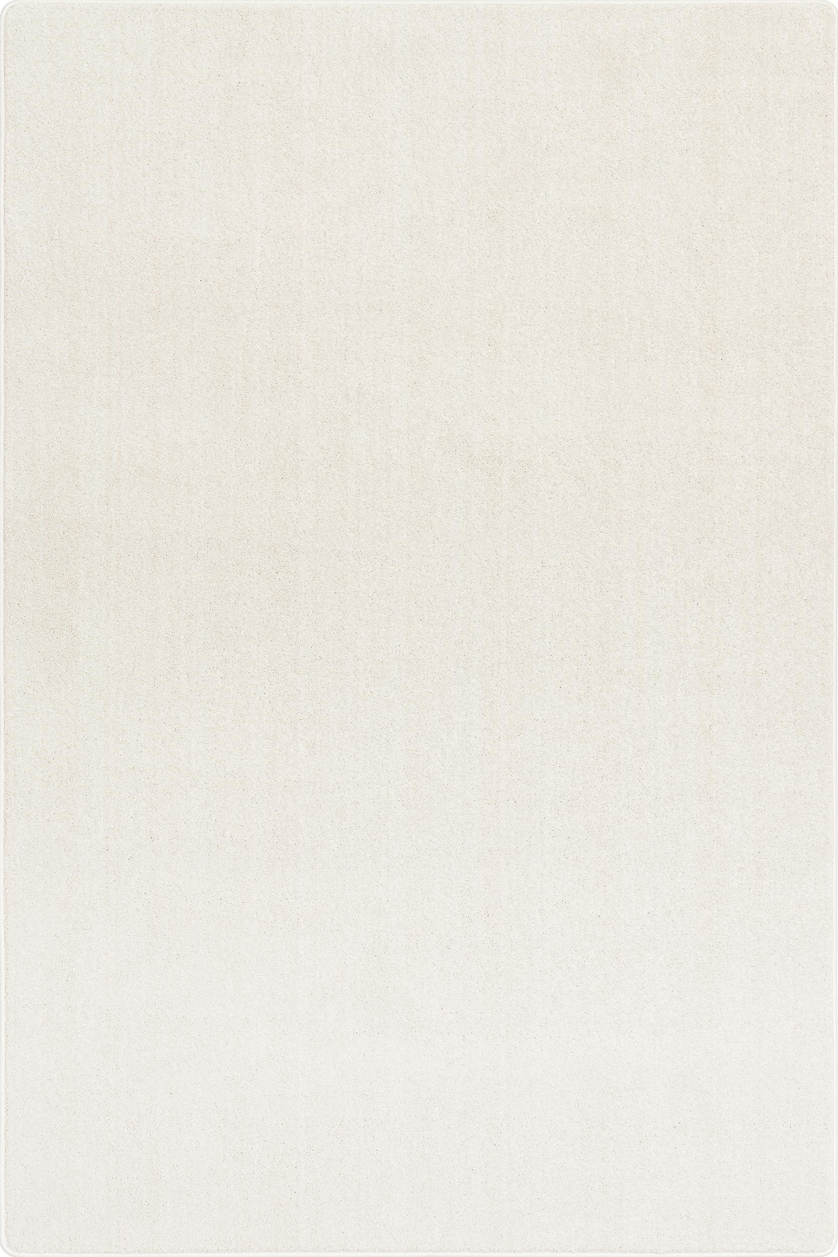 Sparrow Custom Sample Swatch | Cream
